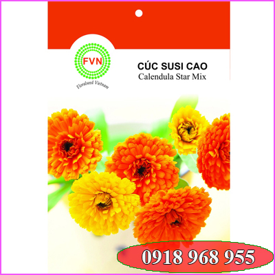 In tui hạt giống| congtyinbaobigiay.com